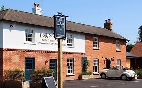 The Dog & Gun Inn